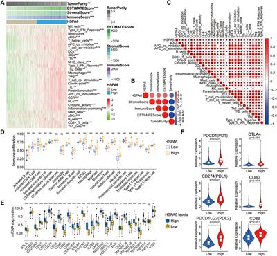 HSPA6 is Correlated With the Malignant Progression and Immune Microenvironment of Gliomas